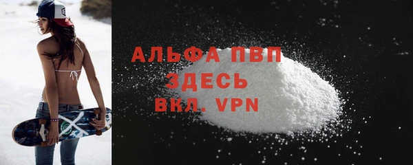 ПСИЛОЦИБИНОВЫЕ ГРИБЫ Михайлов