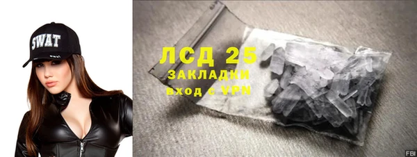 ПСИЛОЦИБИНОВЫЕ ГРИБЫ Михайлов