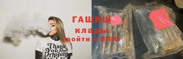 ПСИЛОЦИБИНОВЫЕ ГРИБЫ Михайлов