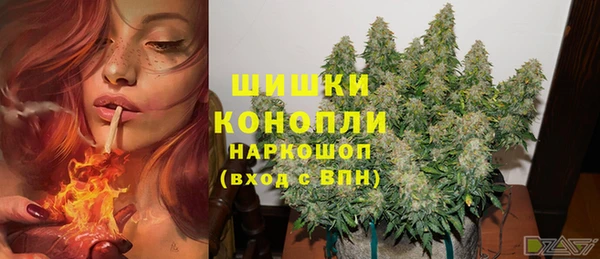 ПСИЛОЦИБИНОВЫЕ ГРИБЫ Михайлов