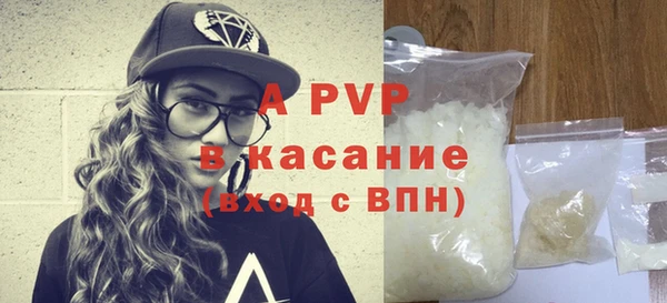 ПСИЛОЦИБИНОВЫЕ ГРИБЫ Михайлов