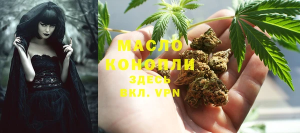 ПСИЛОЦИБИНОВЫЕ ГРИБЫ Михайлов