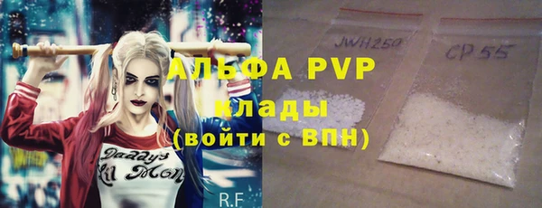 ПСИЛОЦИБИНОВЫЕ ГРИБЫ Михайлов