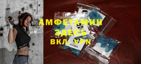 ПСИЛОЦИБИНОВЫЕ ГРИБЫ Михайлов