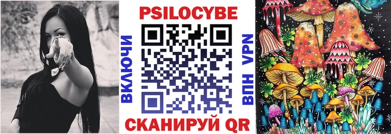 Купить закладки  Сергач  Псилоцибиновые грибы мухоморы 
